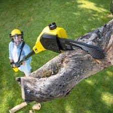 Best Tree Trimming and Pruning  in Gunnison, UT